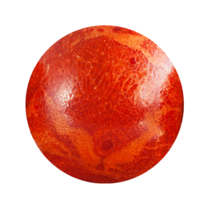 Coral