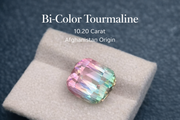 Bi colour tourmaline