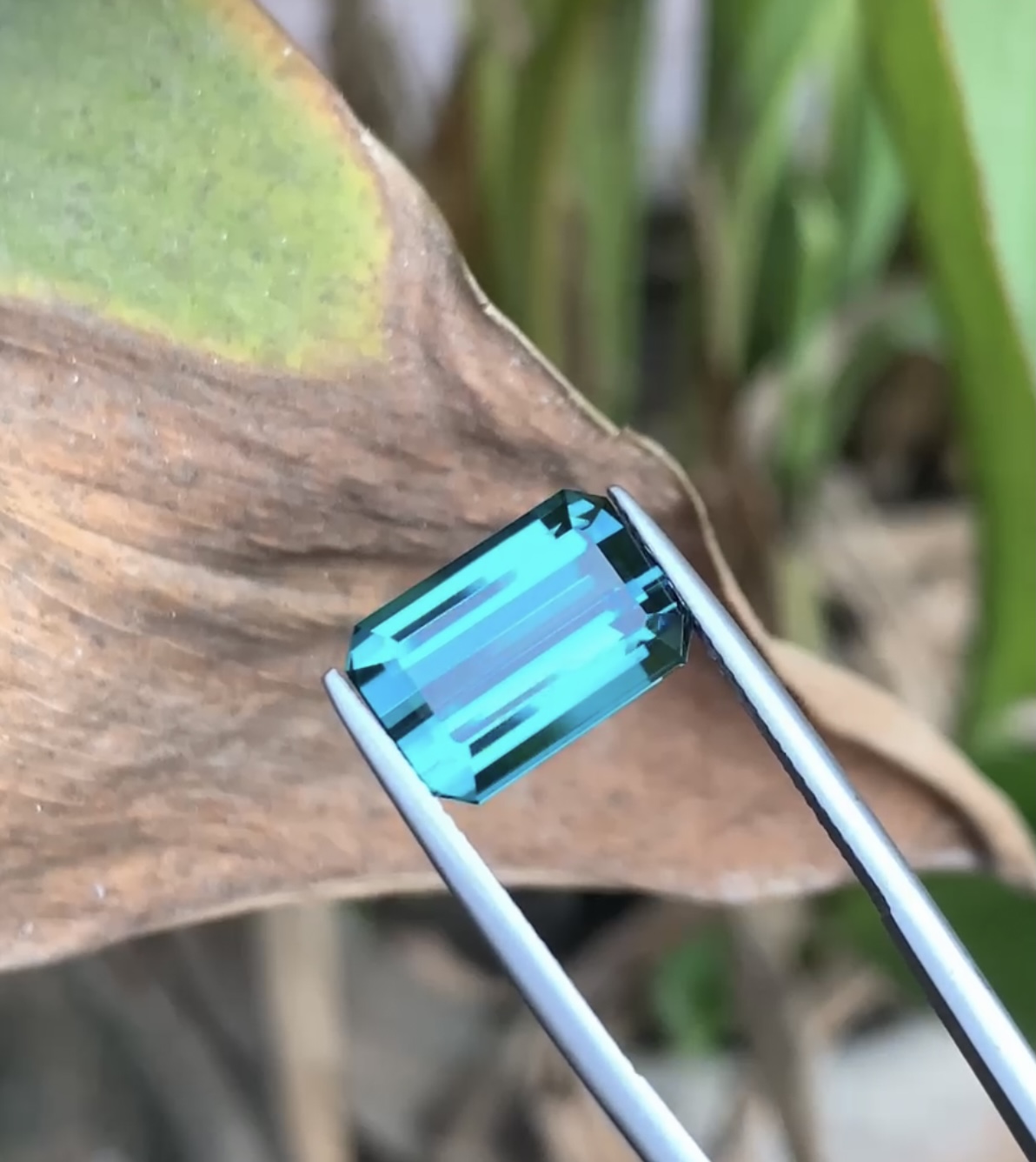Indicolite tourmaline - Image 4