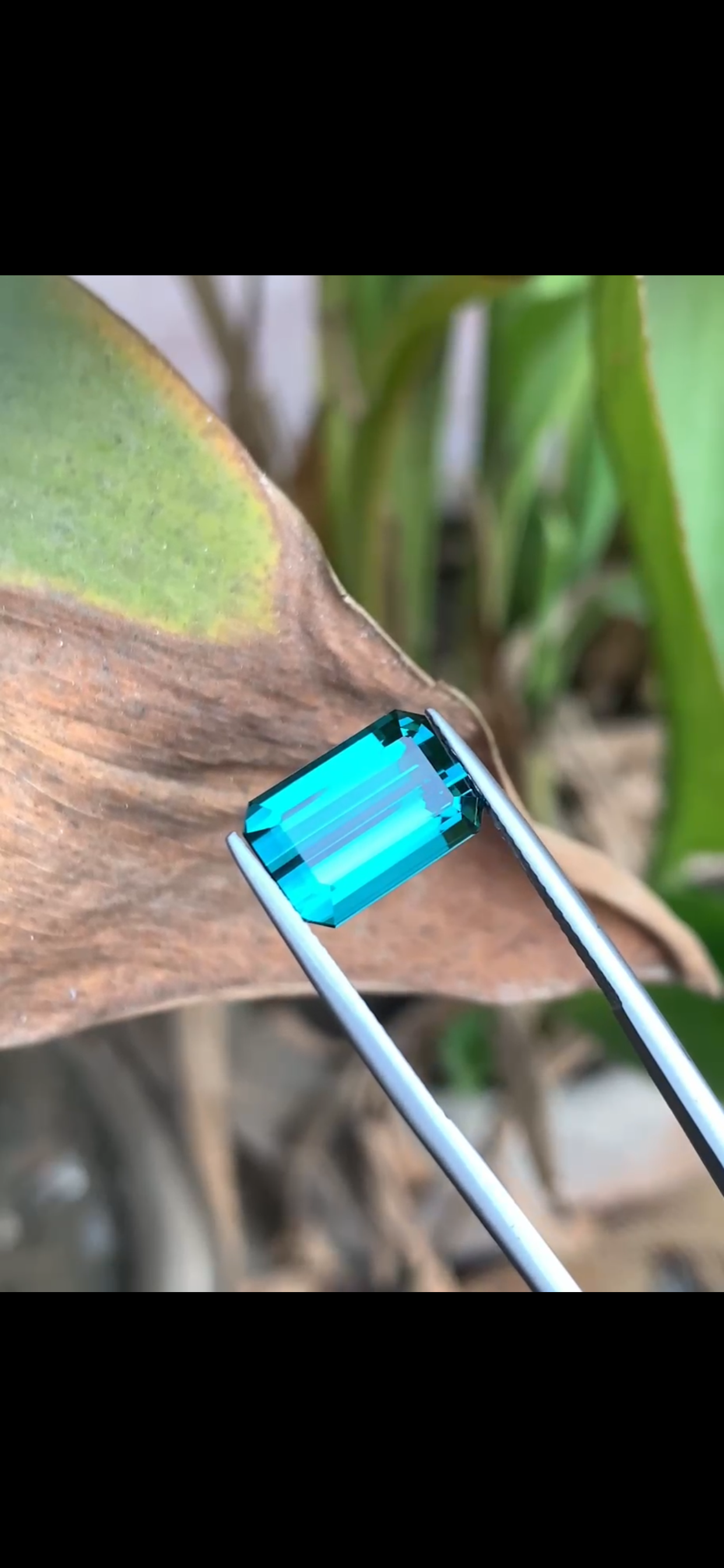 Indicolite tourmaline - Image 3