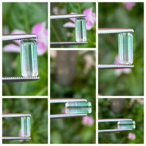 Tourmalines