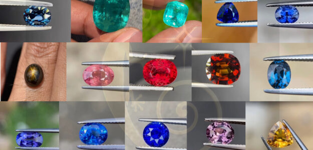 Gecko Gems