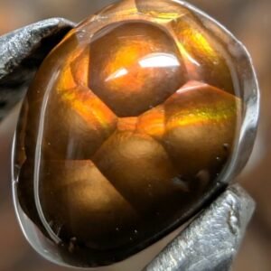 Fire Agate Gold Boytroidal