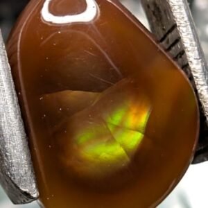 Fire Agate Green Ocean Shell